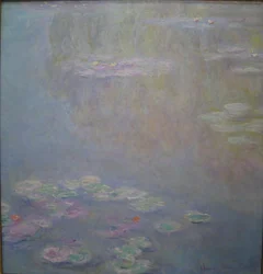 Seerosen